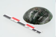 Foto von Bronzeniet (NHMW-PRAE-024411)